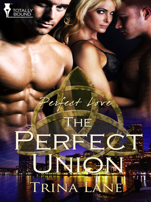 cover image of The Perfect Union